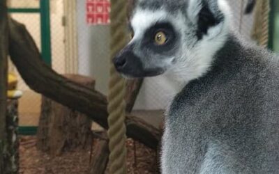 Wycieczka integracyjna do Nowego ZOO – klasa 1-3
