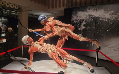 Wystawa BODY WORLDS na MTP w Poznaniu